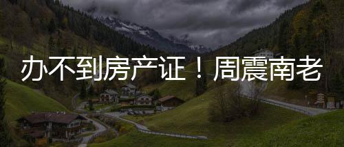 办不缺陷老赖周震南再曝小区开发到房产证父亲